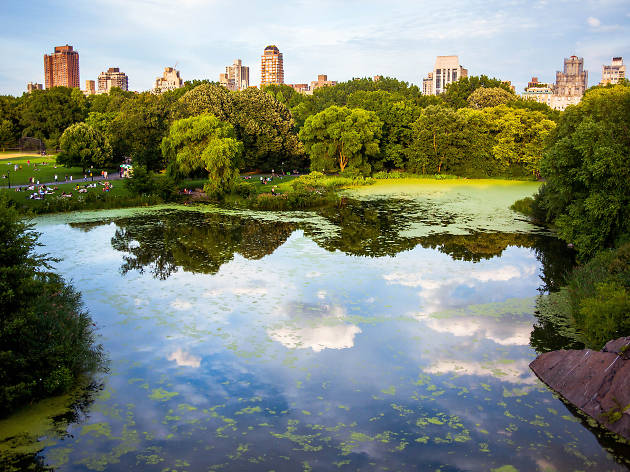Group guide to visit Central Park