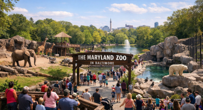Maryland Zoo in Baltimore in Washington Maryland Zoo in Baltimore in Washington