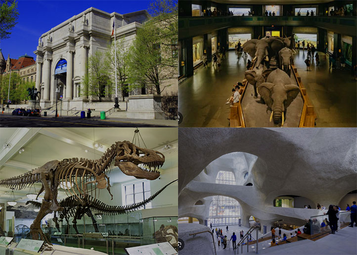 American Museum of Natural History