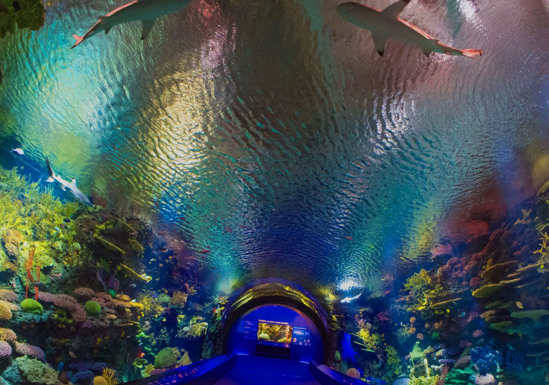 New York Aquarium